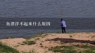 鱼漂浮不起来什么原因