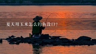 夏天用玉米怎么钓鱼没口？