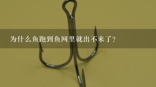 为什么鱼跑到鱼网里就出不来了？