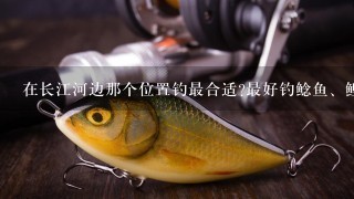 在长江河边那个位置钓最合适?最好钓鲶鱼、鲤鱼跟鲫鱼或黄腊丁!求高手指点!!!