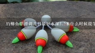 钓鲫鱼浮漂调几目最好水深3.5米什么时候提竿最好呢？