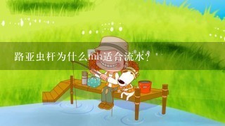 路亚虫杆为什么mh适合流水？