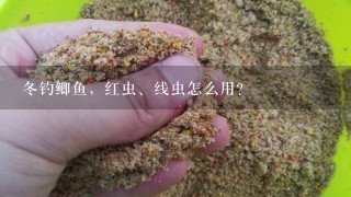 冬钓鲫鱼，红虫、线虫怎么用？