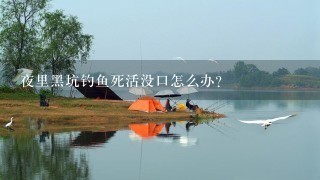 夜里黑坑钓鱼死活没口怎么办?