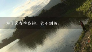 为什么春季夜钓，钓不到鱼？