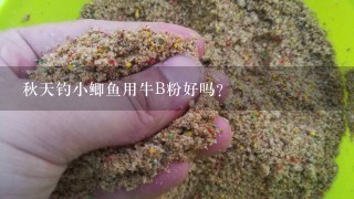 秋天钓小鲫鱼用牛B粉好吗？