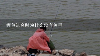 鲤鱼进窝时为什么没有鱼星