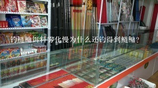 钓鲢鳙饵料雾化慢为什么还钓得到鲢鳙？