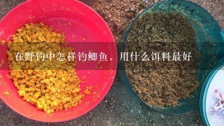 在野钓中怎样钓鲫鱼，用什么饵料最好