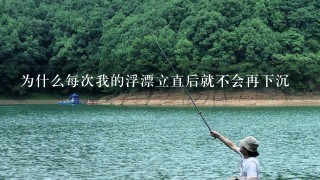 为什么每次我的浮漂立直后就不会再下沉