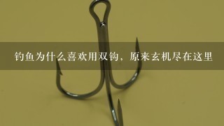 钓鱼为什么喜欢用双钩，原来玄机尽在这里