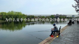 为什么夏季中午池塘中的鱼会浮出水面。是因为什么原