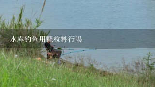 水库钓鱼用颗粒料行吗