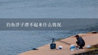 钓鱼浮子漂不起来什么情况