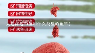 大连海边钓鱼用什么类型的鱼竿？