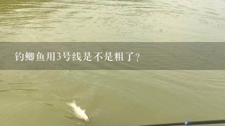 钓鲫鱼用3号线是不是粗了？