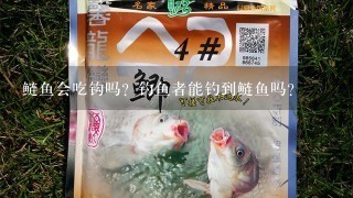 鲢鱼会吃钩吗？钓鱼者能钓到鲢鱼吗？