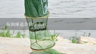 泡泡球适合钓什么鱼