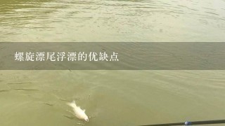 螺旋漂尾浮漂的优缺点