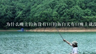 为什么晚上钓鱼没有口(钓鱼白天有口晚上就没口了什