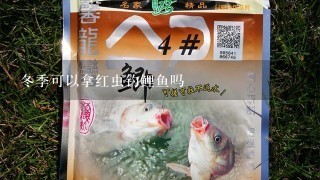 冬季可以拿红虫钓鲤鱼吗