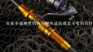 在家乡池塘里钓鱼有鲤鱼进窝就是不吃钩有什么饵料最好简单点的就好最好家里有的蚯蚓不行小鱼太多了抢着吃