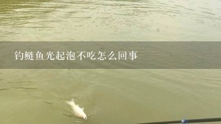 钓鲢鱼光起泡不吃怎么回事