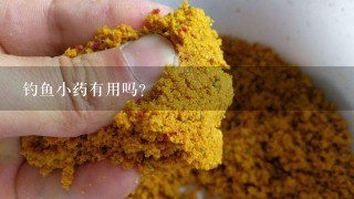 钓鱼小药有用吗？