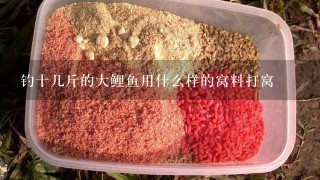 钓十几斤的大鲤鱼用什么样的窝料打窝