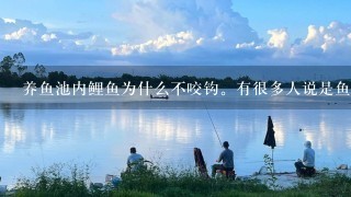 养鱼池内鲤鱼为什么不咬钩。有很多人说是鱼塘老板用