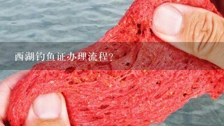 西湖钓鱼证办理流程？