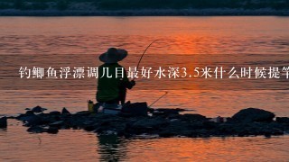 钓鲫鱼浮漂调几目最好水深3.5米什么时候提竿最好呢？