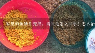 家里的鱼鳞片变黑，请问是怎么回事？怎么治疗？