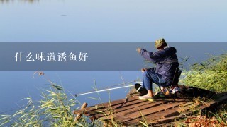 什么味道诱鱼好