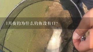 1月夜钓为什么钓鱼没有口？