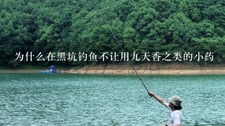 为什么在黑坑钓鱼不让用9天香之类的小药