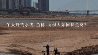 冬天野钓水浅,鱼稀,面积大如何找鱼窝？