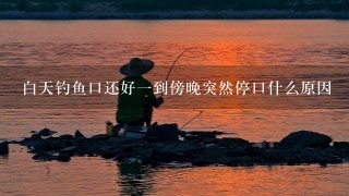 白天钓鱼口还好1到傍晚突然停口什么原因