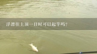 浮漂往上顶1目时可以起竿吗？