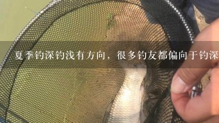 夏季钓深钓浅有方向，很多钓友都偏向于钓深水是为什