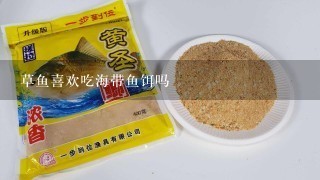 草鱼喜欢吃海带鱼饵吗