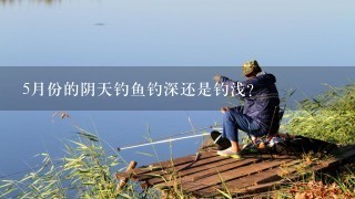 5月份的阴天钓鱼钓深还是钓浅？