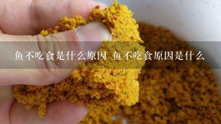 鱼不吃食是什么原因 鱼不吃食原因是什么