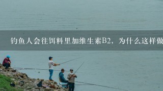 钓鱼人会往饵料里加维生素B2，为什么这样做？有什么