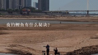 夜钓鲤鱼有什么秘诀？