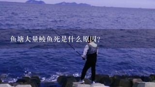 鱼塘大量鲮鱼死是什么原因？