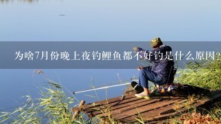 为啥7月份晚上夜钓鲤鱼都不好钓是什么原因？