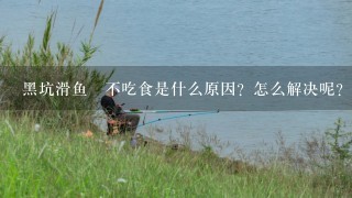 黑坑滑鱼‎不吃食是什么原因？怎么解决呢？