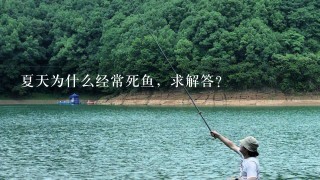 夏天为什么经常死鱼，求解答？