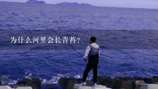 为什么河里会长青苔？